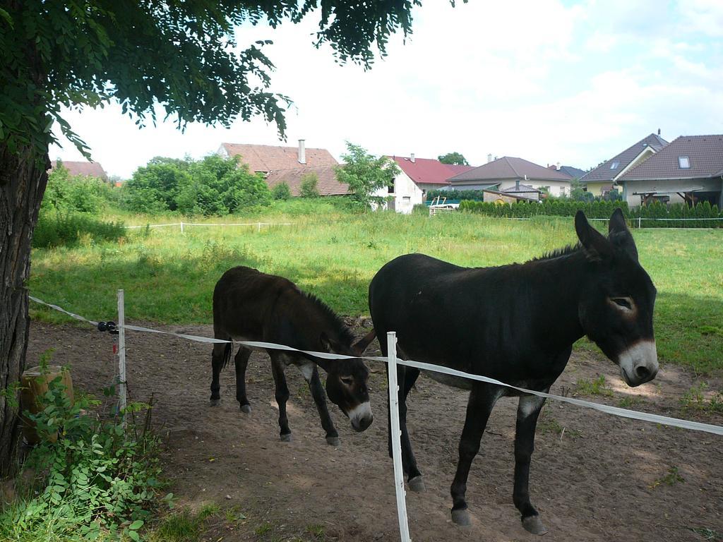 Penzion U Stoly Usilne Zewnętrze zdjęcie
